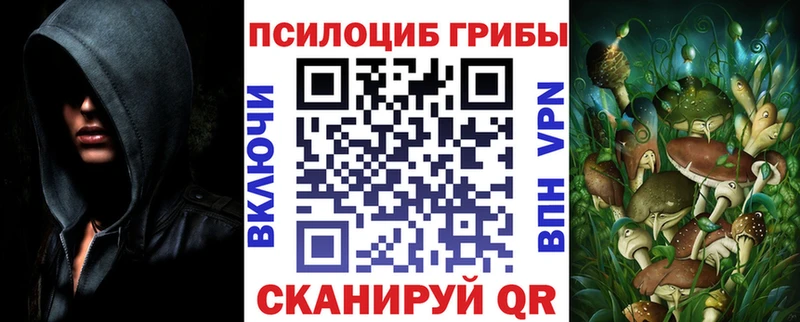 Псилоцибиновые грибы Cubensis  наркота  Белозерск 